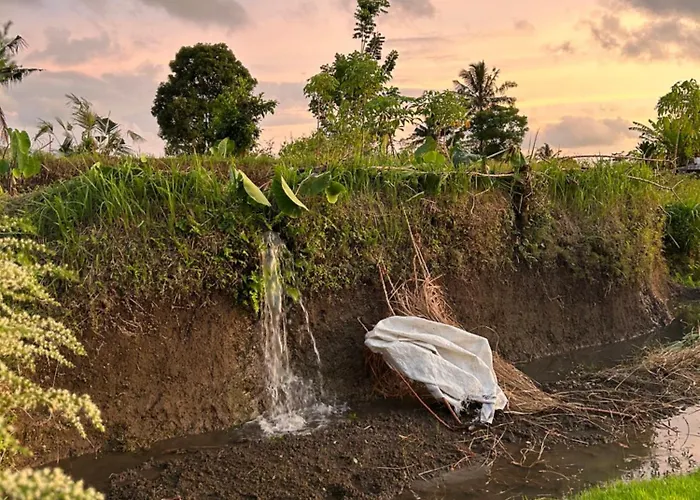 ゲストハウス Chez Lepusa 3*